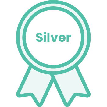 Novata Solutions is recognised as Microsoft Silver partner
